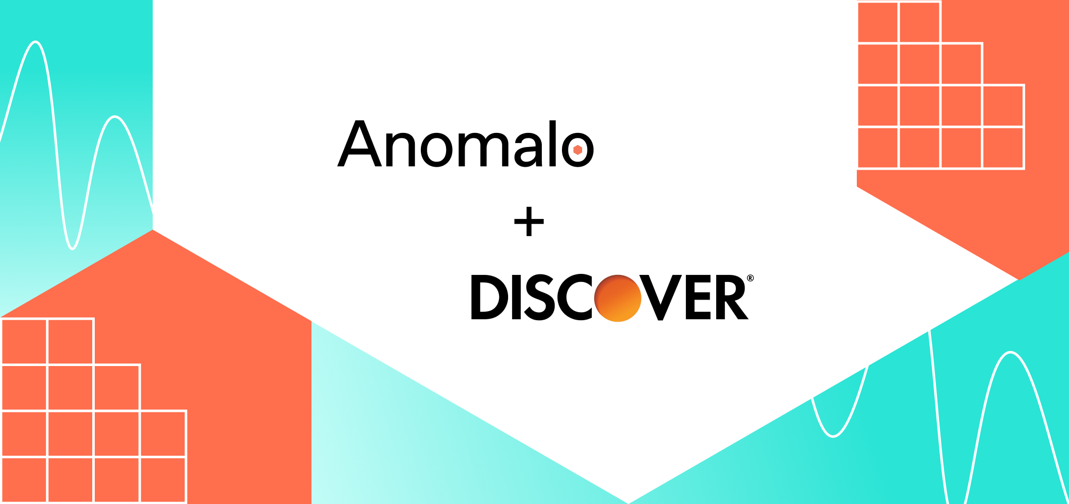 anomalo and discover
