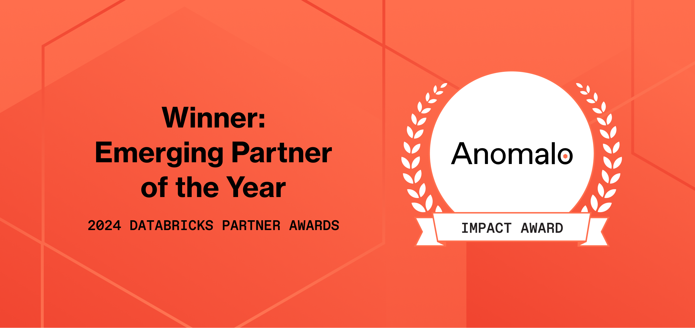 Anomalo emerging partner of the year